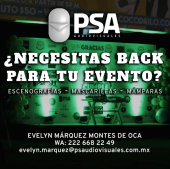  - Profesionales en Servicios Audiovisuales - PSA