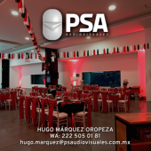  - Profesionales en Servicios Audiovisuales - PSA