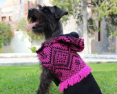  - Molly & Robbie - Ropa para mascotas