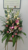 - Mitzi Floristería