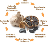  - Alimentos Nutritivos del Altiplano