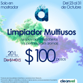  - Cleanvel Puebla