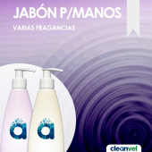  - Cleanvel Puebla