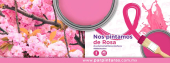  - Par Pinturas