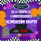  - Suspensiones México