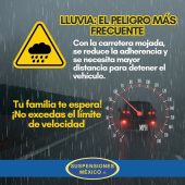  - Suspensiones México