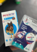  - Roca Pets