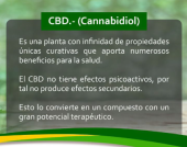  - GOMITAS DE CBD