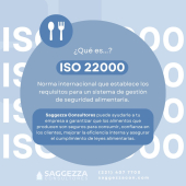  - Saggezza Consultores