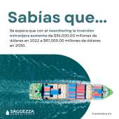  - Saggezza Consultores