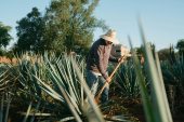  - AMARGA LOCURA - Mezcal