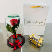  - Flores Fergat
