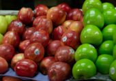  - Gala Frut