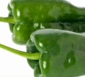 Chiles en Nogada  - Temporada en Puebla