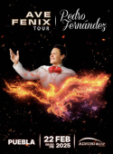 Pedro Fernández en Puebla 