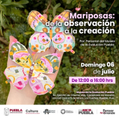 Mariposas: de la Observación a la Creación