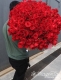 floreriamagenta