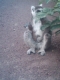 zooparqueloro