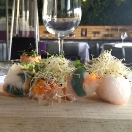 Spring Rolls - Restaurante Intro - Puebla