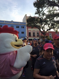 Pollo Feliz Puebla - Puebla