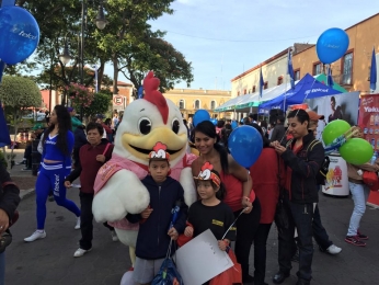 Pollo Feliz Puebla - Puebla