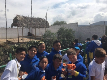Colegio Europeo, la mejor opción para tus hijos. - Colegio Europeo - Puebla