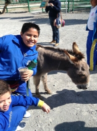 Conociendo animalitos muy amigables. - Colegio Europeo - Puebla