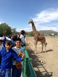Colegio Europeo - Blvd. Valsequillo No. 1035, San Baltazar Campeche PUEBLA, Puebla, 72580 Te.(222) 2...