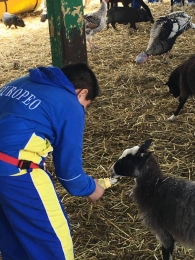 Conociendo animalitos muy amigables. - Colegio Europeo - Puebla