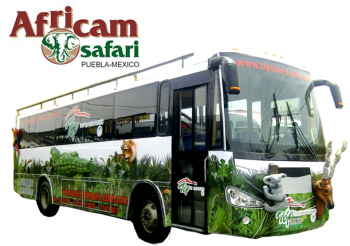 Tip te lleva en nuestro Animal Bus. Tenemos salidas 11:30, 12:30 y 1:00 y 1:30 pm desde el Zócalo de...