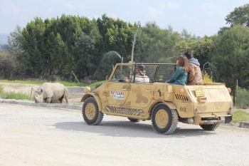 Africam Safari - Puebla