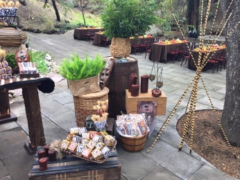 Y así lució nuestro jardín botánico festejando al cumpleañero explorador! Gracias por toda la confia...