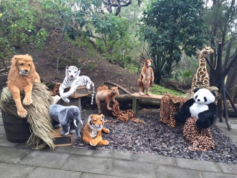 Y así lució nuestro jardín botánico festejando al cumpleañero explorador! Gracias por toda la confia...