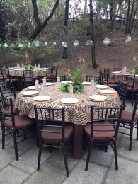 Así quedo nuestro evento en Africam Safari - Africam Safari - Puebla
