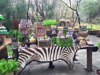 Mesa de postres - Africam Safari - Puebla
