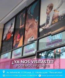 Estudio Quiropráctico Ser Sano - Puebla