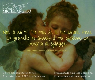 Accademia Michelangelo - Escuela de italiano - Puebla