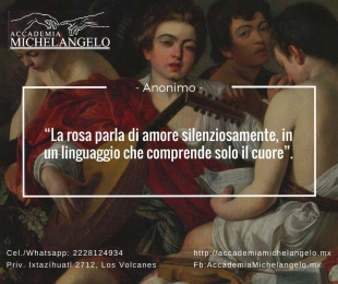 Accademia Michelangelo - Escuela de italiano - Puebla
