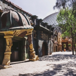 Descubre el mundo secreto de #arboterra. - Africam Safari - Puebla