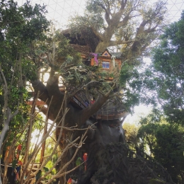 Conoce el mundo secreto de #arboterra. - Africam Safari - Puebla