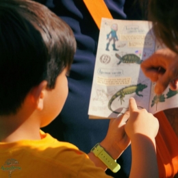 Este fin de semana largo ven con tu familia a descubrir los secretos de #arboterra - Africam Safari ...