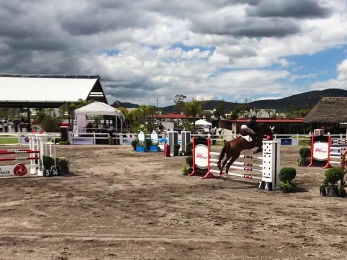 Excelente evento que se disfruto en Lomas de Angelópolis. - Lomas de Angelópolis - Puebla