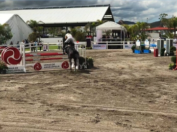 Babieca Concurso de Salto - Lomas de Angelópolis - Puebla