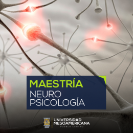 MAESTRÍA EN NEUROPSICOLOGÍA Universidad Mesoamericana Puebla Centro - Universidad Mesoamericana Pueb...