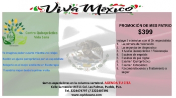 Centro Quiropráctico Vida Sana - Puebla