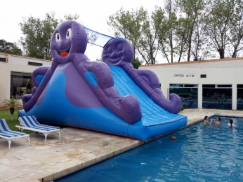PULPO CON MÓDULO DE AGUA 12 X 4 MTS
INFORMES 2223551984 - GEC Eventos - Puebla