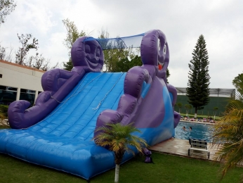 PULPO CON MÓDULO DE AGUA 12 X 4 MTS
INFORMES 2223551984 - GEC Eventos - Puebla