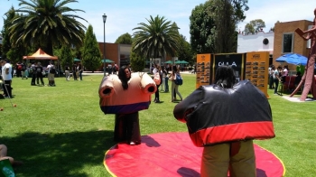 TRAJES DE SUMO TIPO BOTARGAS
INFORMES 2223551984 - GEC Eventos - Puebla