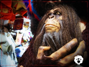 Tienda de disfraces en Puebla - Disfraces La Oveja Negra - Puebla