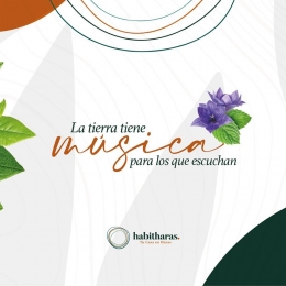 Déjate cautivar por la música del bosque. - Habitharas - Viviendo en el Bosque - Puebla